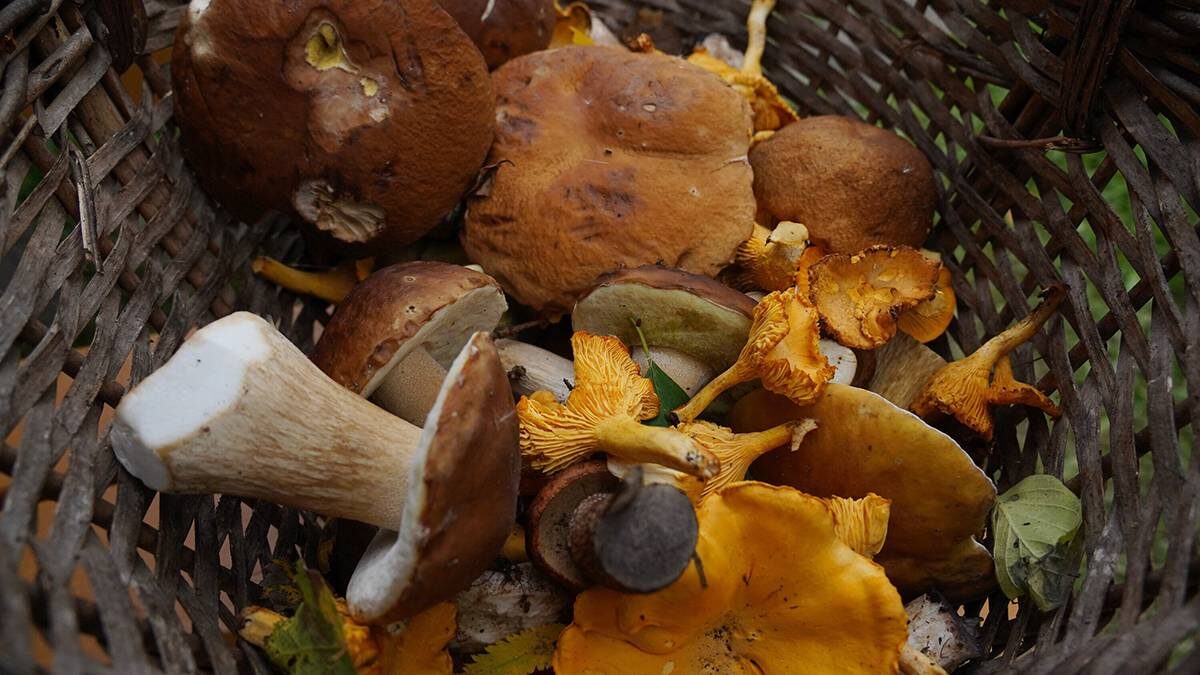    Фото: Александр Авилов / АГН Москва