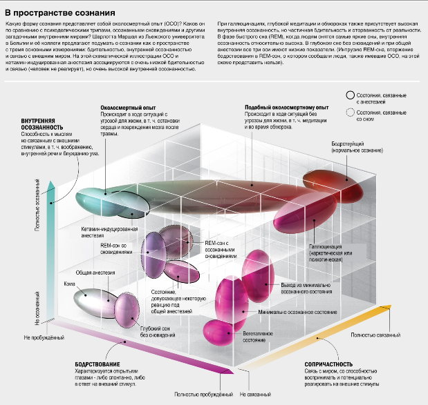 Виолет Изабель Фрэнсис для Брайан Кристи Дизайн; Источник: “Near-Death Experience as a Probe to Explore (Disconnected) Consciousness,” by Charlotte Martial et al., in Trends in Cognitive Sciences, Vol. 24; March 2020 (reference)