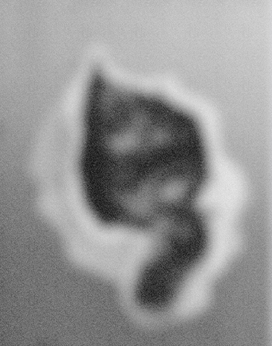 Примерно так. Это, к слову, кот в лежанке. Вроде бы видно, что кто-то есть, но толком не различить — понимаете?