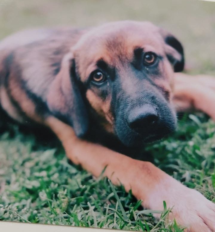 Ой, сейчас что мы вам расскажем!