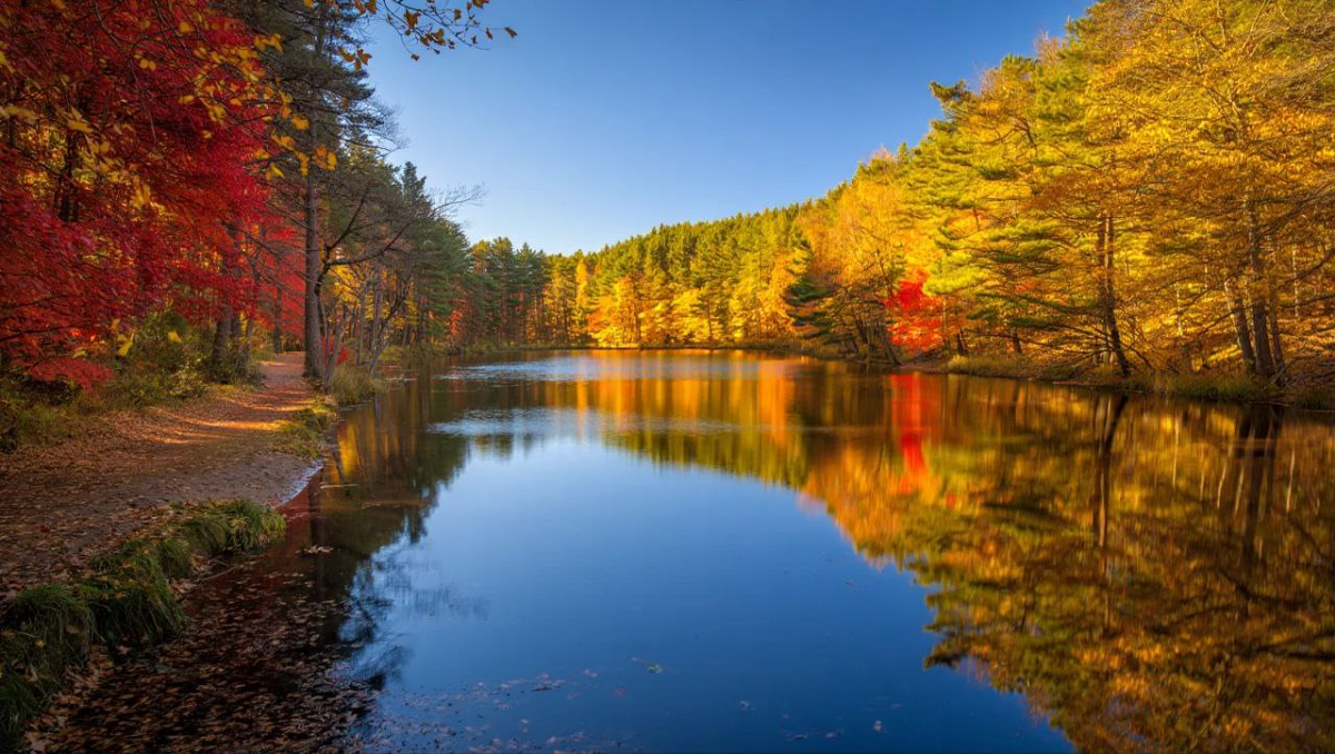 Создание пассивного дохода: какие акции и облигации покупал? Итоги инвестирования в сентябре
