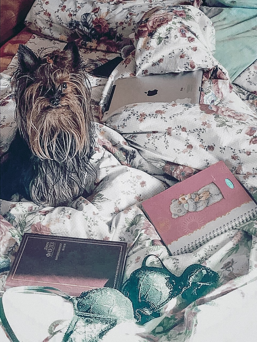 Моё солнечное утро