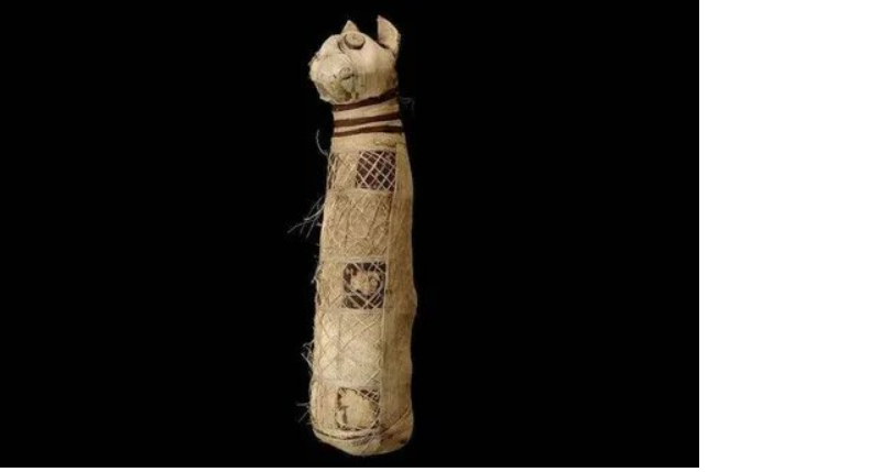 Мумия, которая обманула всех: учёные нашли под бинтами древнего кота не то, что ожидали
