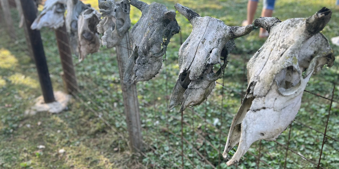 Такого мы не ожидали: абхазское застолье у Руслана в селе Дурипш