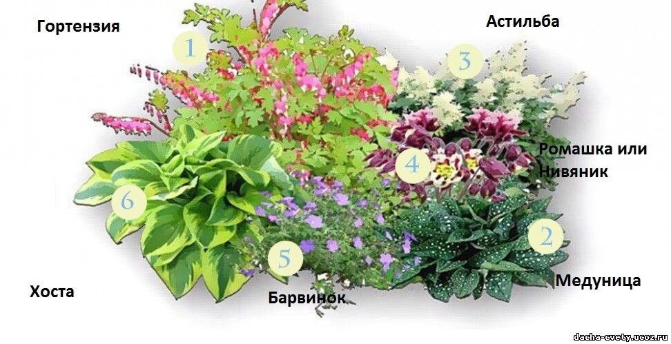Вот еще пример клумбы из неприхотливых многолетников, в котором дицентру, подписанную неправильно, как гортензия, если она не подходит по каким-либо причинам, можно заменить  любым, не очень требовательным многолетником для заднего плана клумбы. Фото:  https://ru.pinterest.com/pin/30680841204558841/ 