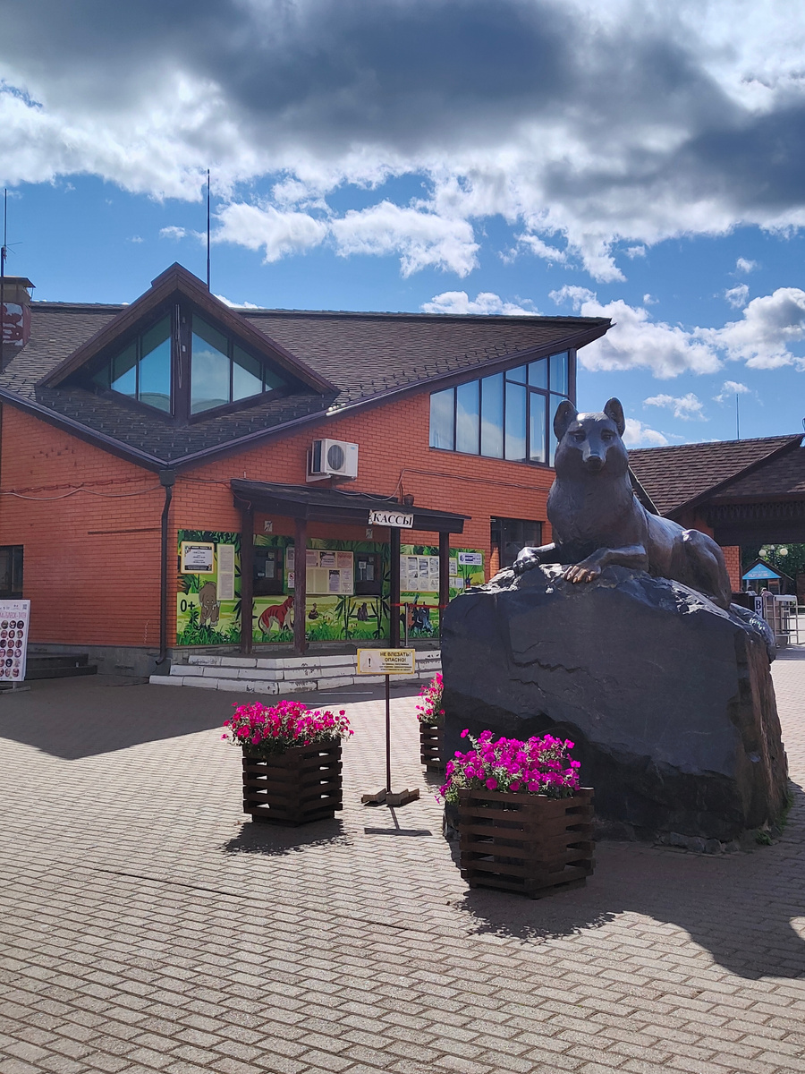 Фото автора.