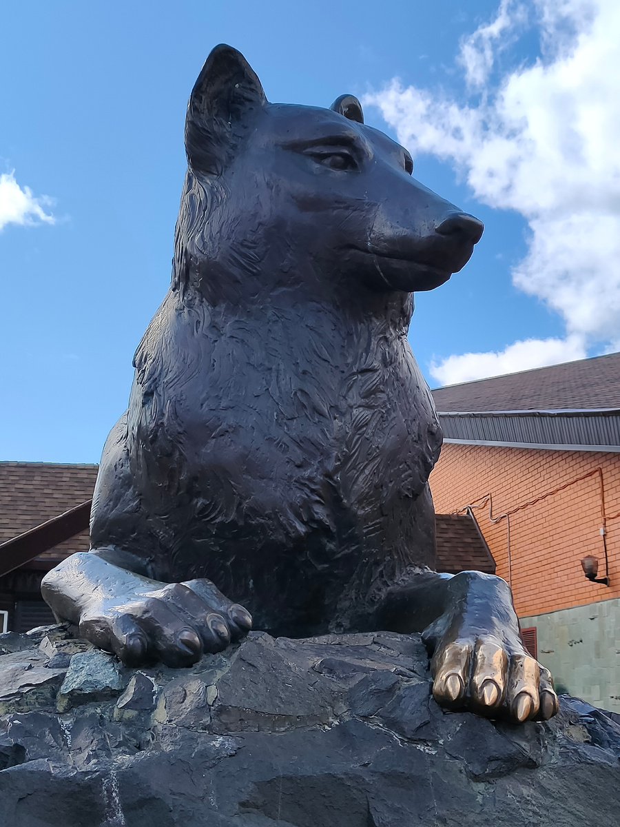 Фото автора.