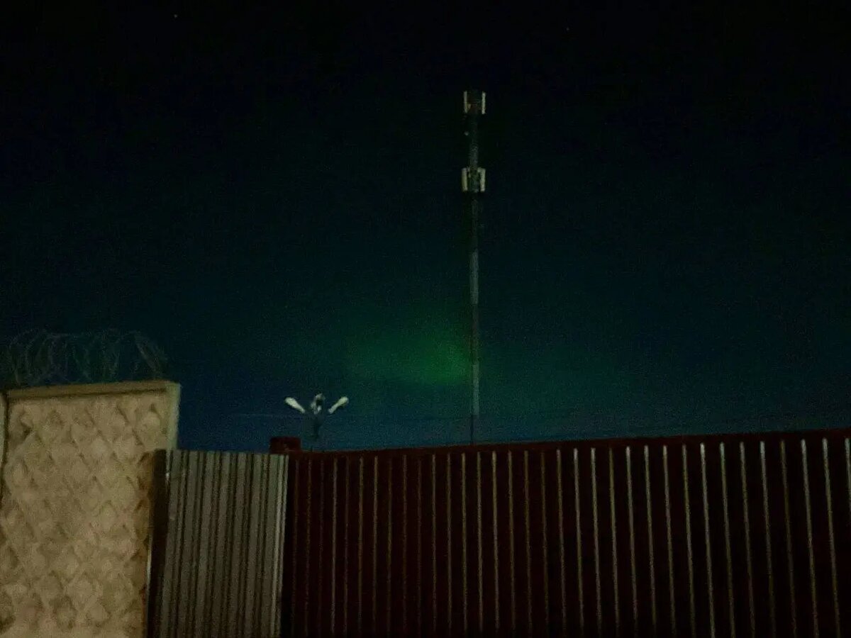    Фото: читатель Мойки78