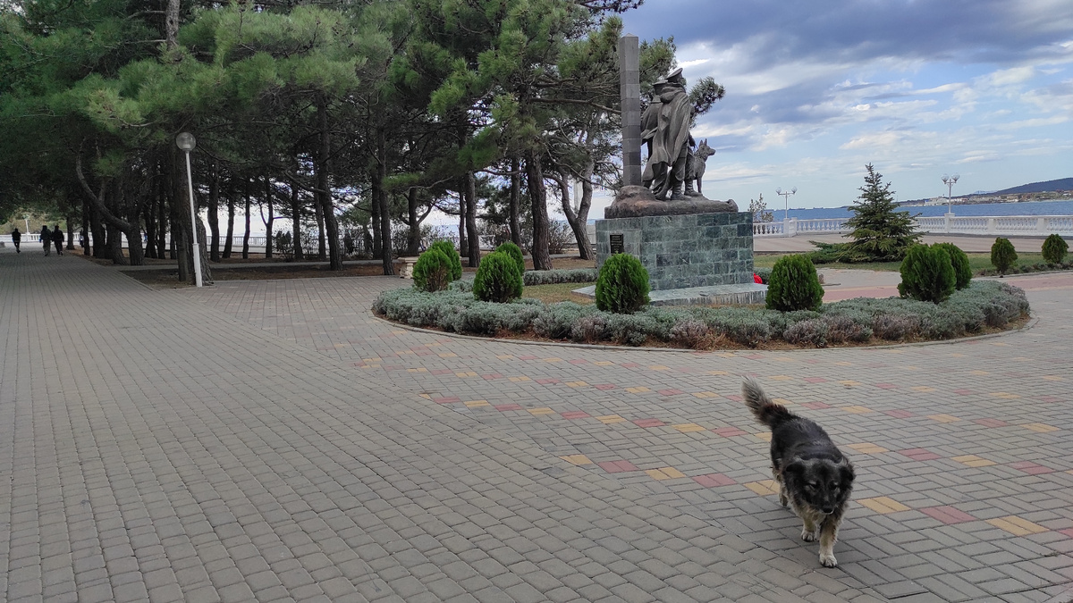 "Мы с Мухтаром на границе". Фото: Кирилл Полиенко/Polienko: путешествуем вдвоём