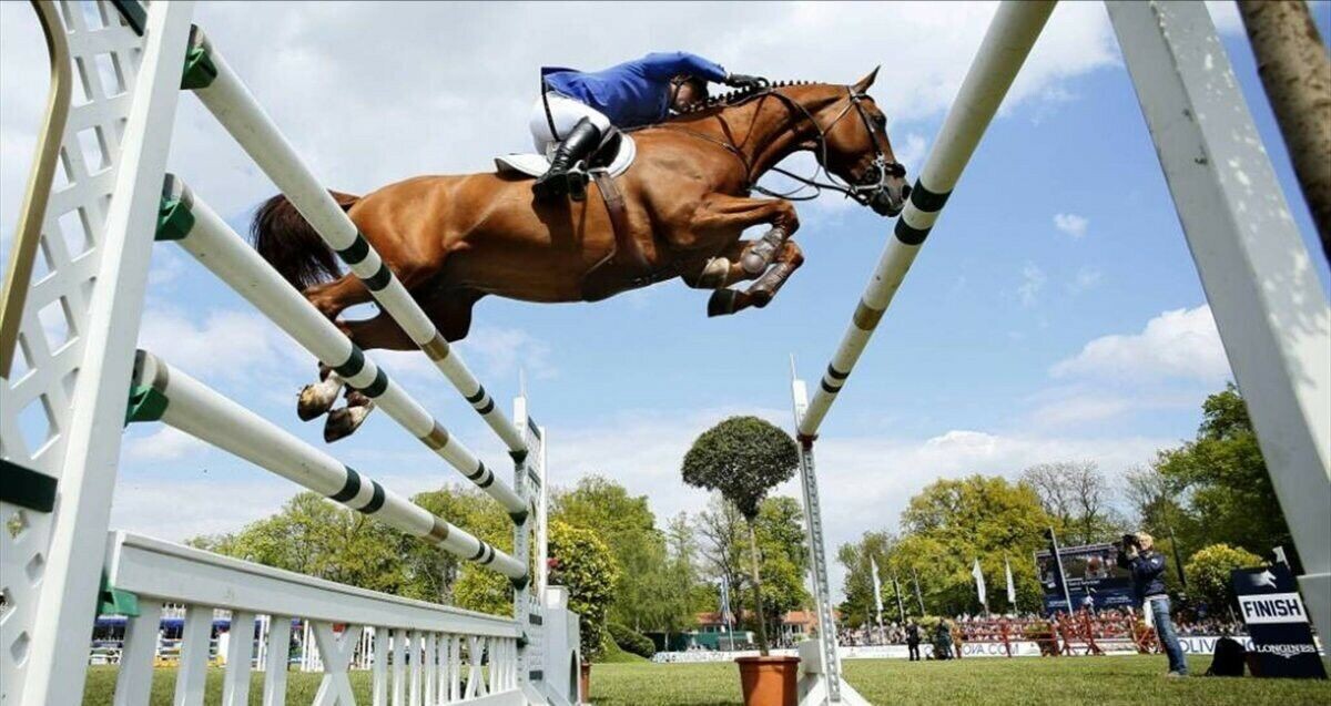 Из открытых источников