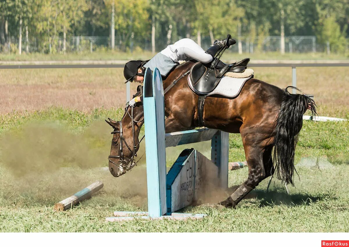 Из открытых источников