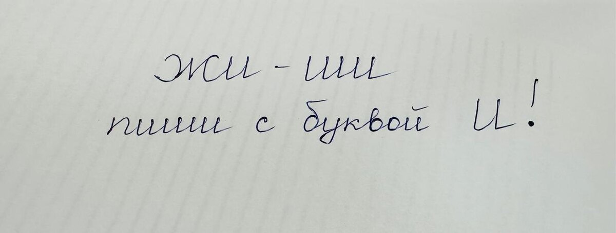 Дюжина без жи - ши