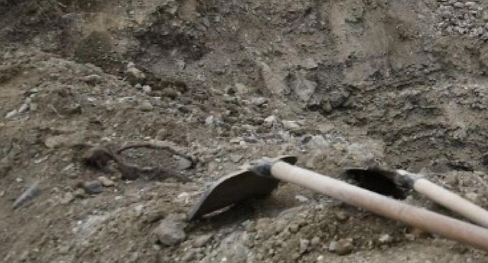    РИА «Новости»