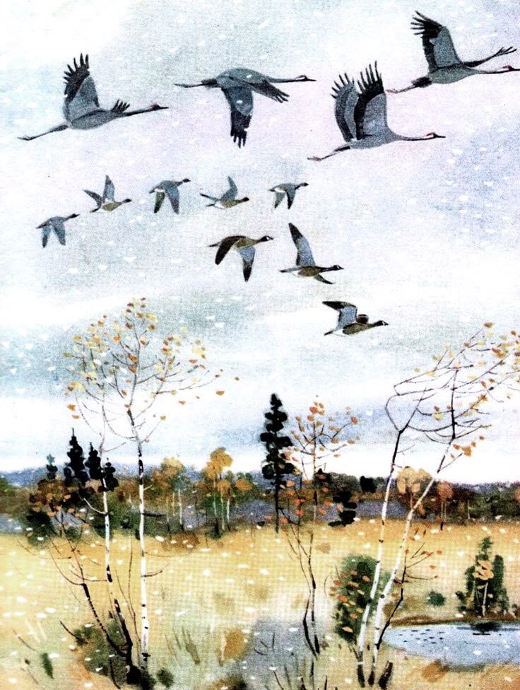 Из открытых источников. Художник А. Федотов