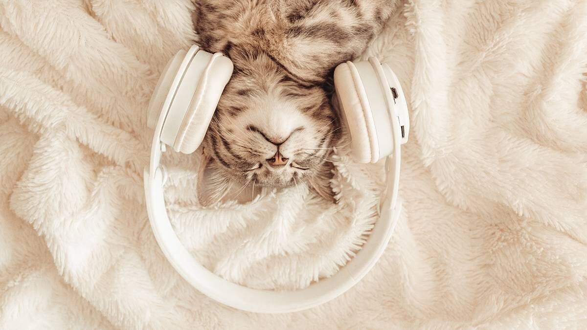    Фото: Shutterstock