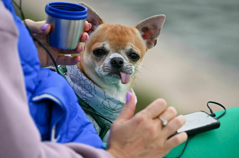   Тимур Ханов/ПГ