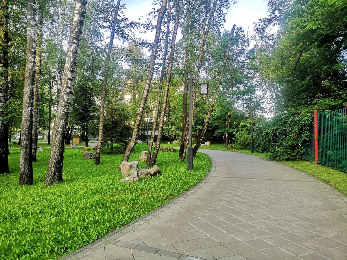 Дорожка у входа