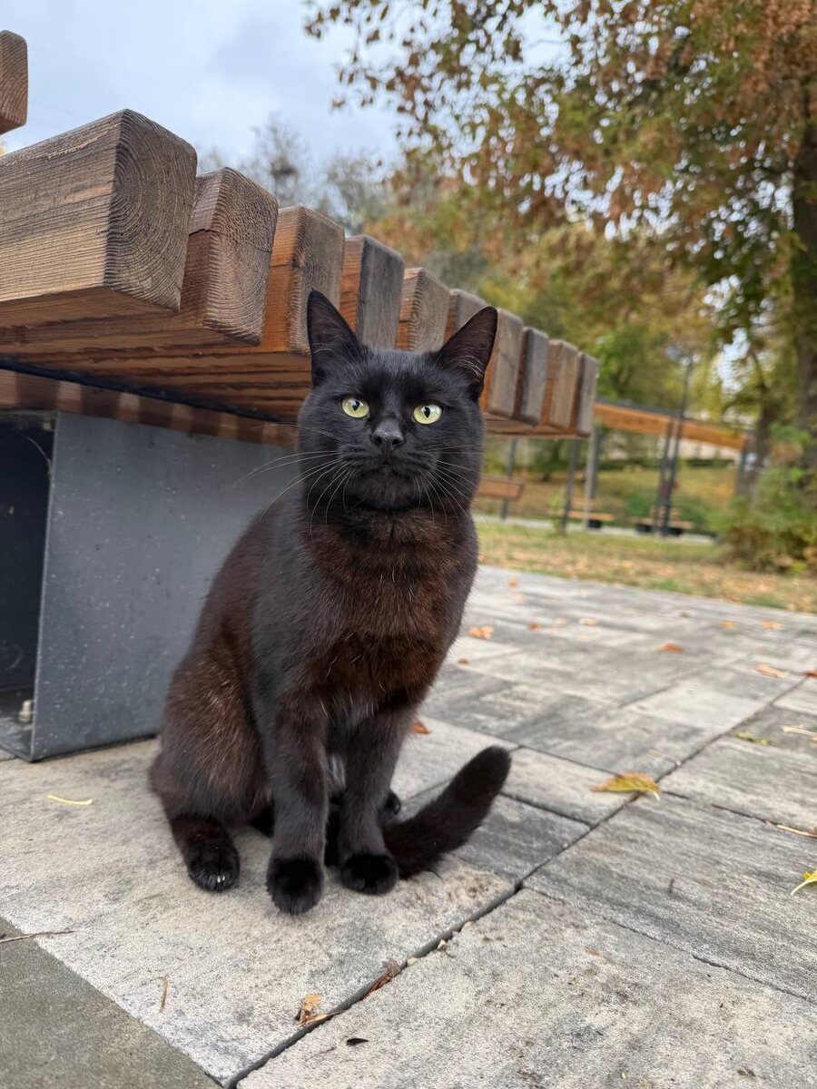 Мистер Уголек. Фото из архива автора