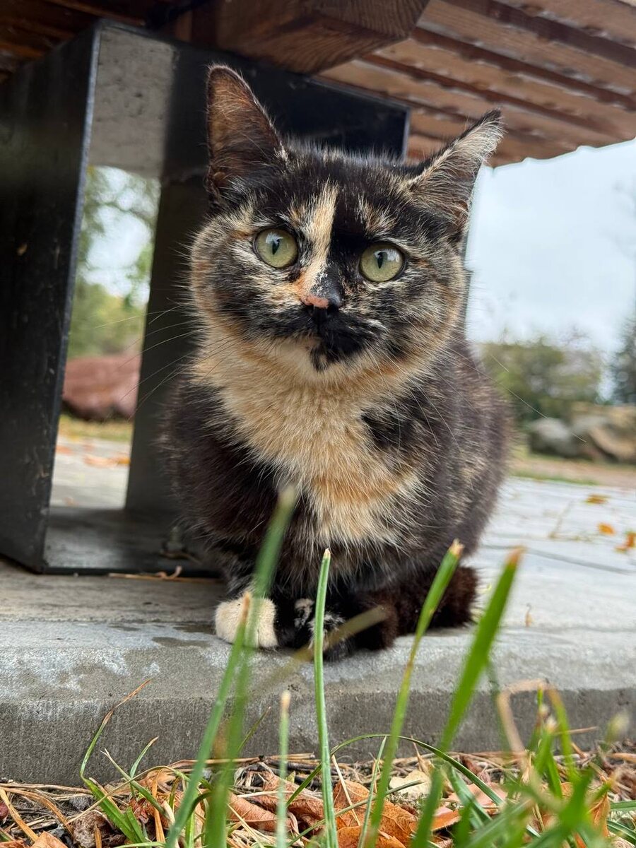 Мисс Искорка. Фото из архива автора