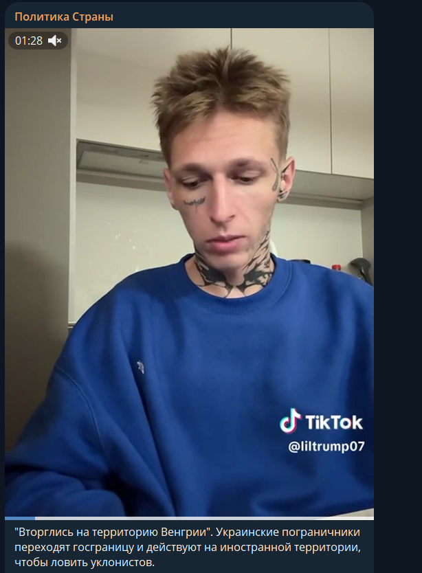    Скриншот Telegram/"Политика страны"