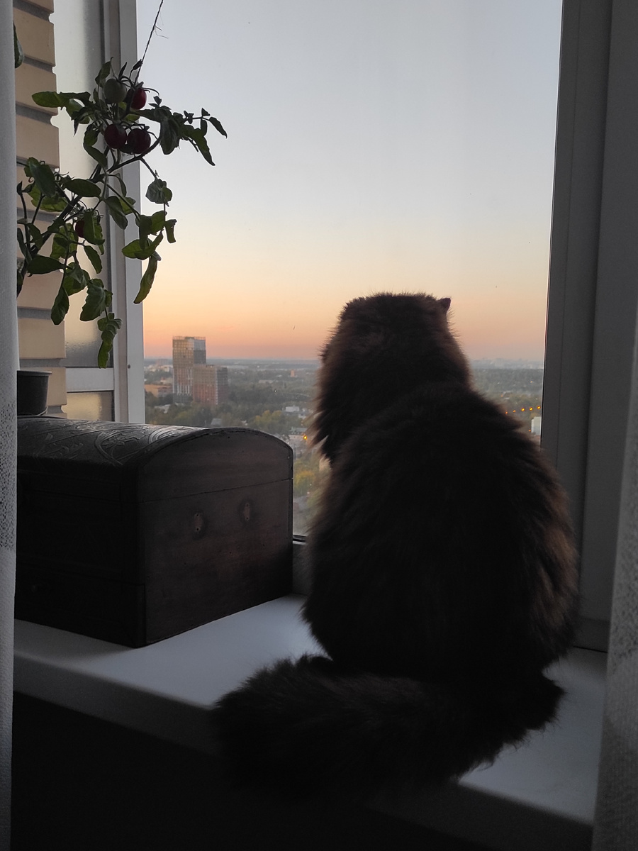 Красота то какая, Арсений