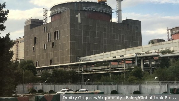     Фото: Dmitry Grigoriev/Argumenty i Fakty/Global Look Press   
 Текст: Антон Антонов