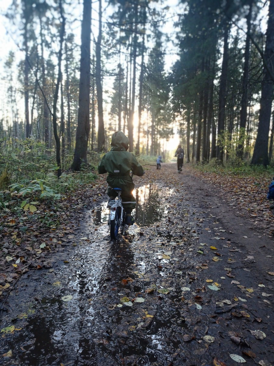 Осенняя прогулка с большим количеством детей в лесу💛