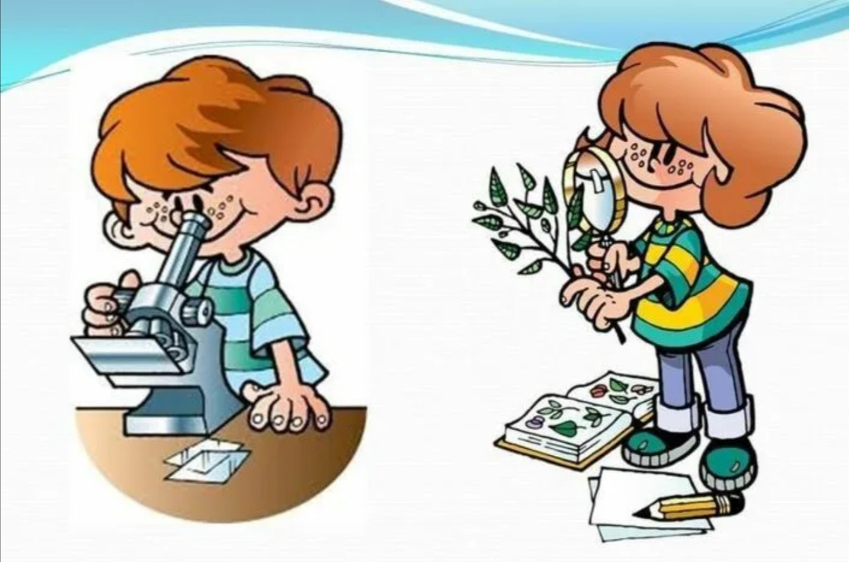 Наблюдение за явлением