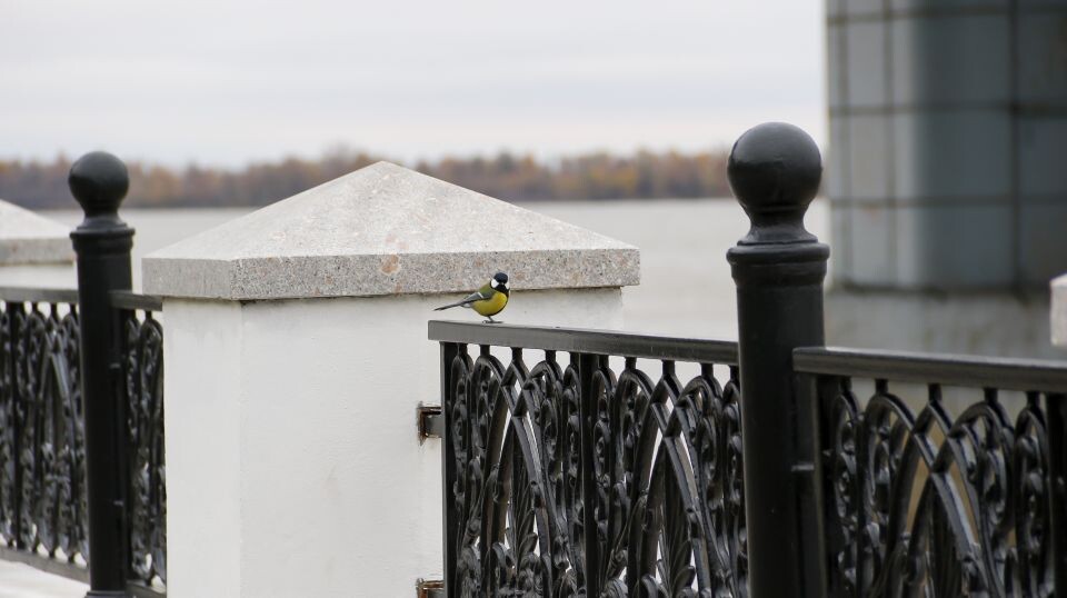    Главная набережная Барнаула. Сентябрь 2025 года. Источник: Виталий Барабаш/"Толк"