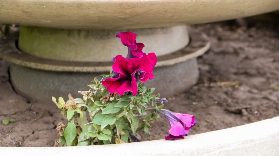    Главная набережная Барнаула. Сентябрь 2025 года. Источник: Виталий Барабаш/"Толк"