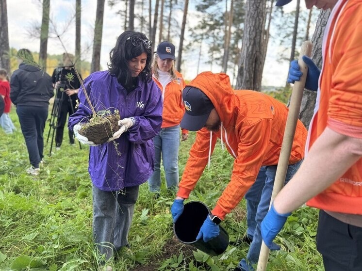     Озеленение в Мало-Истокском лесопарке. Фото: све.рф
