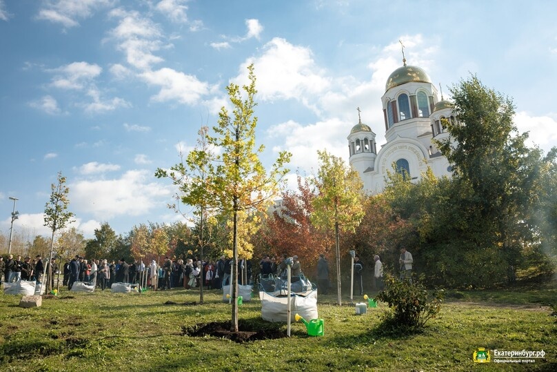     Высадка аллеи около Храма-на-Крови. Фото: Алина Шешеня / екатеринбург.рф