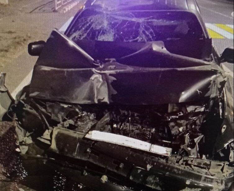    Фото: Госавтоинспекция Забайкалья   📷   Фото: Госавтоинспекция Забайкалья