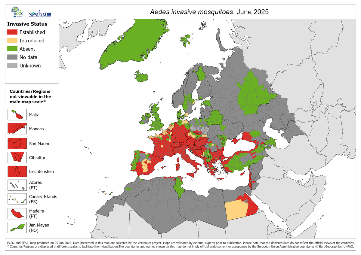 Ареал комаров Aedes по данным на июнь 2025 года