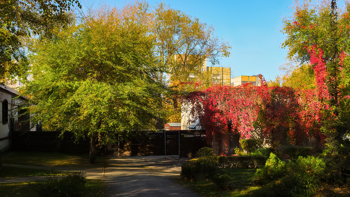 Парк Кирова. Новосибирск. Фотография - www.openmainphoto.ru