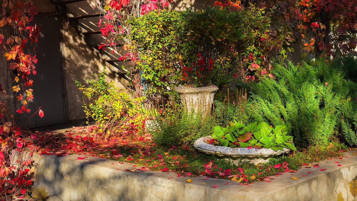 Парк Кирова. Новосибирск. Фотография - www.openmainphoto.ru