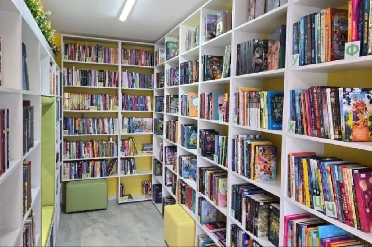    В Омской области открылись две новые модельные библиотеки