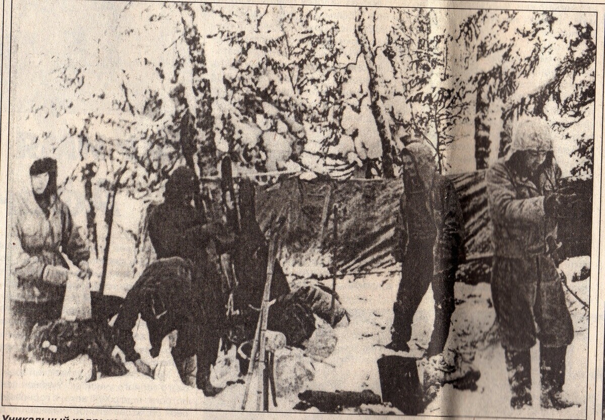 Утро на Ауспии