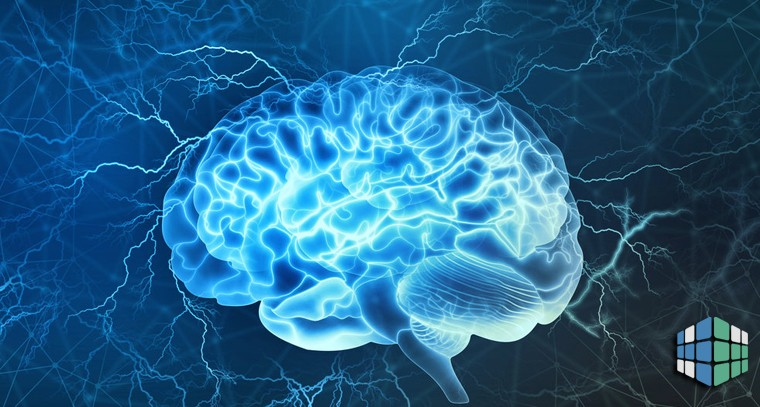 Фото: https://4brain.ru/blog/%D0%BD%D0%B5%D0%B9%D1%80%D0%BE%D0%BF%D0%BB%D0%B0%D1%81%D1%82%D0%B8%D1%87%D0%BD%D0%BE%D1%81%D1%82%D1%8C/