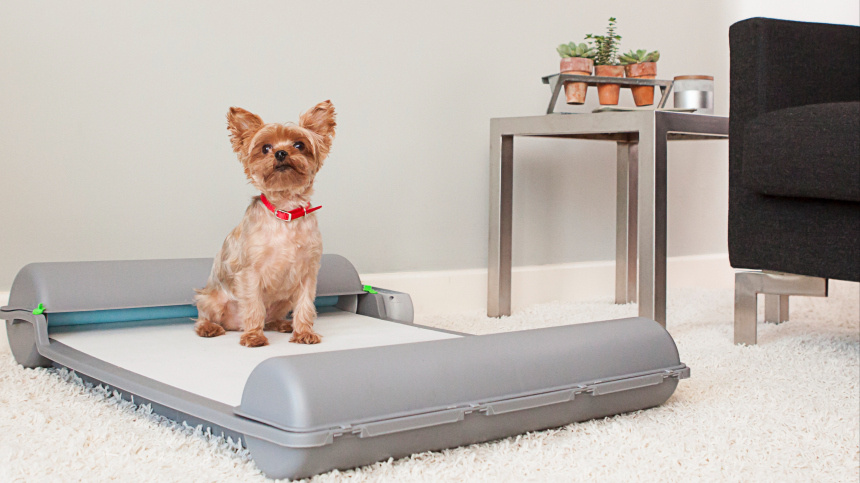    Фото: www.globallookpress.com/Ferrari