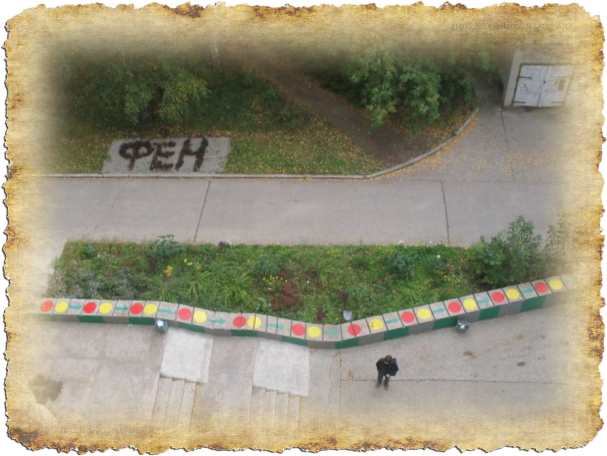 «Зеленая общага» Глава 6 «Новая жизнь»