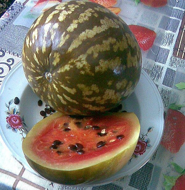 Фото из свободных источников