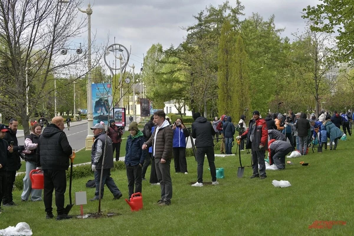    В Новосибирске 4 октября пройдет традиционный субботник