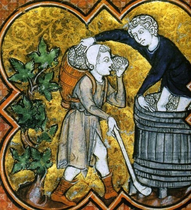 И для начала поговорим о винограде.