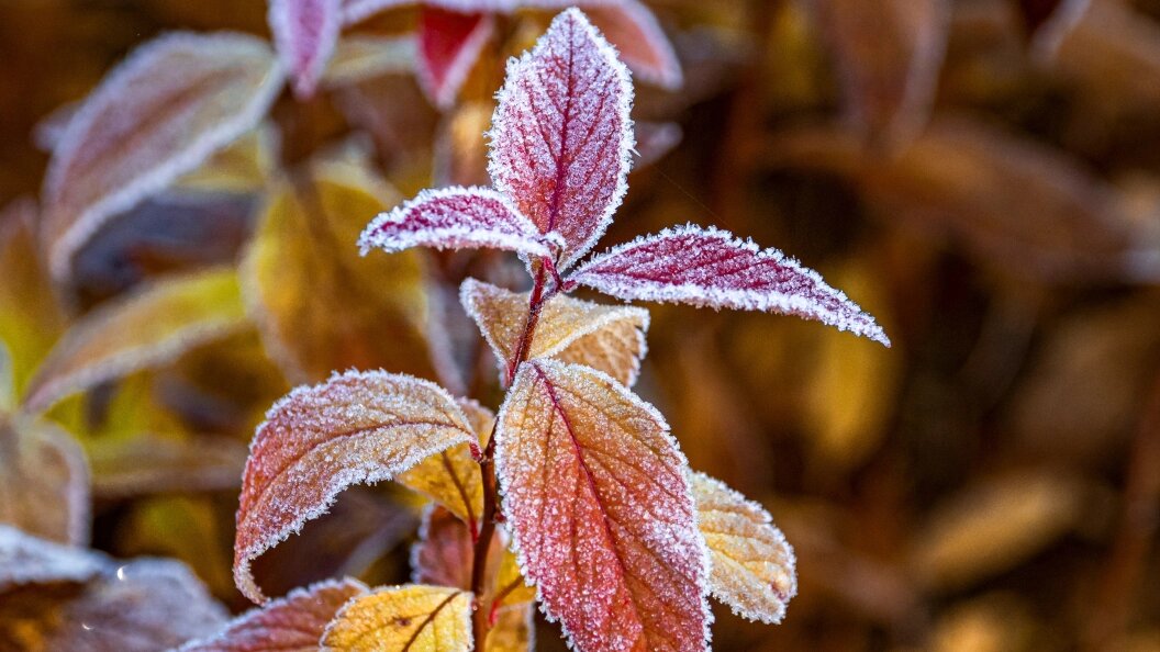    Фото: Konstantin Kokoshkin/Globallookpress