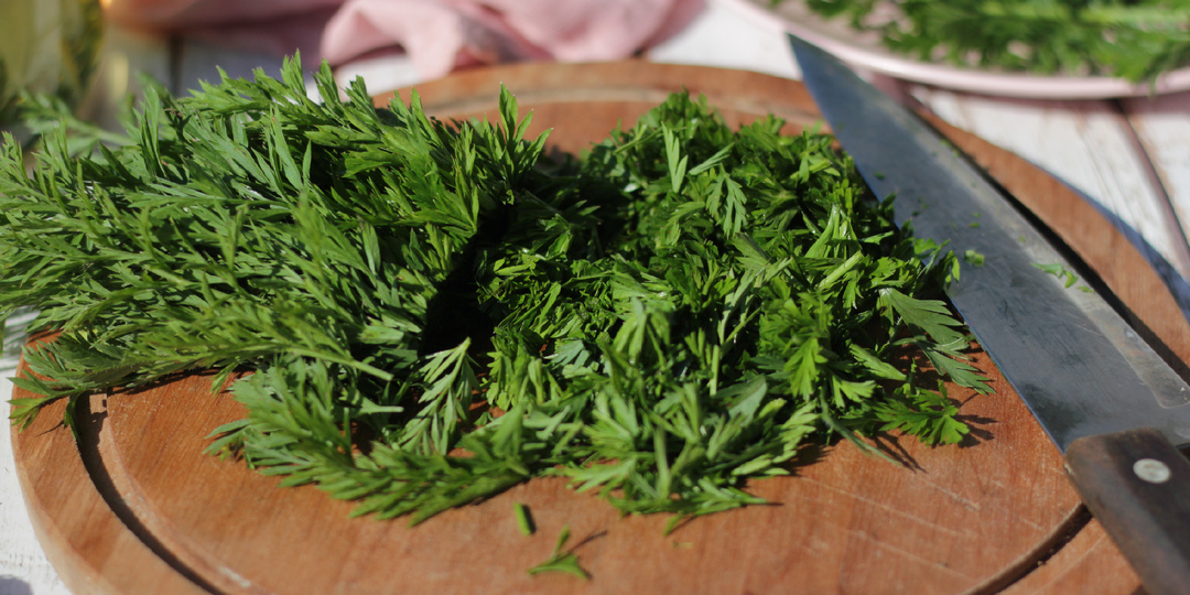 Ботву от моркови не выбрасываю: заготавливаю ее на зиму