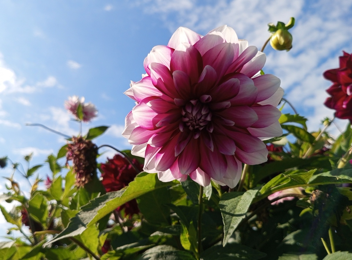 Фото автора.