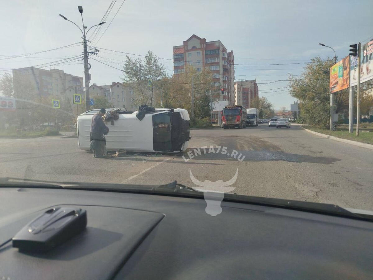    Фото: Очевидец   📷   Фото: Очевидец