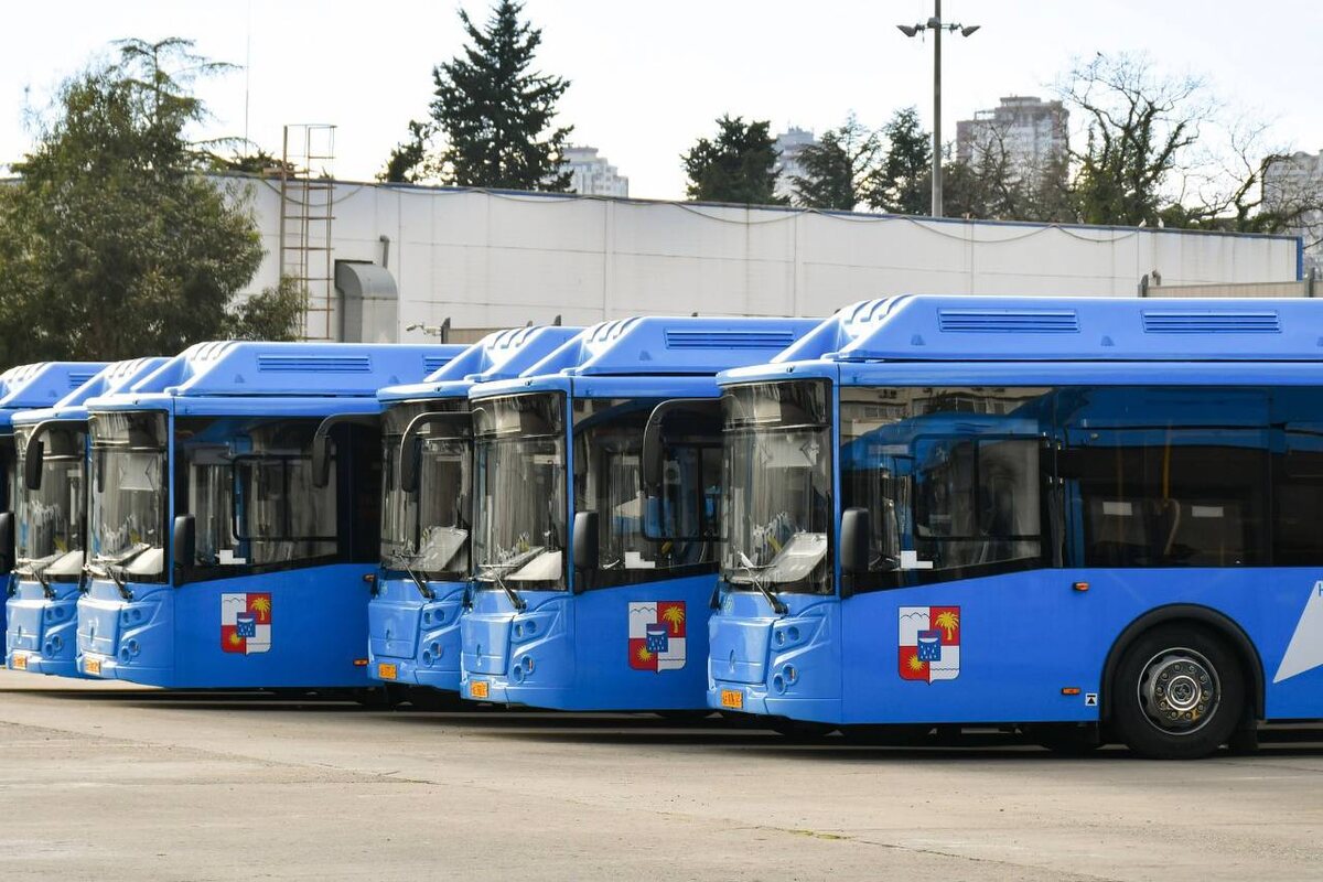 Фото: пресс-служба МУП «Сочиавтотранс»  📷
