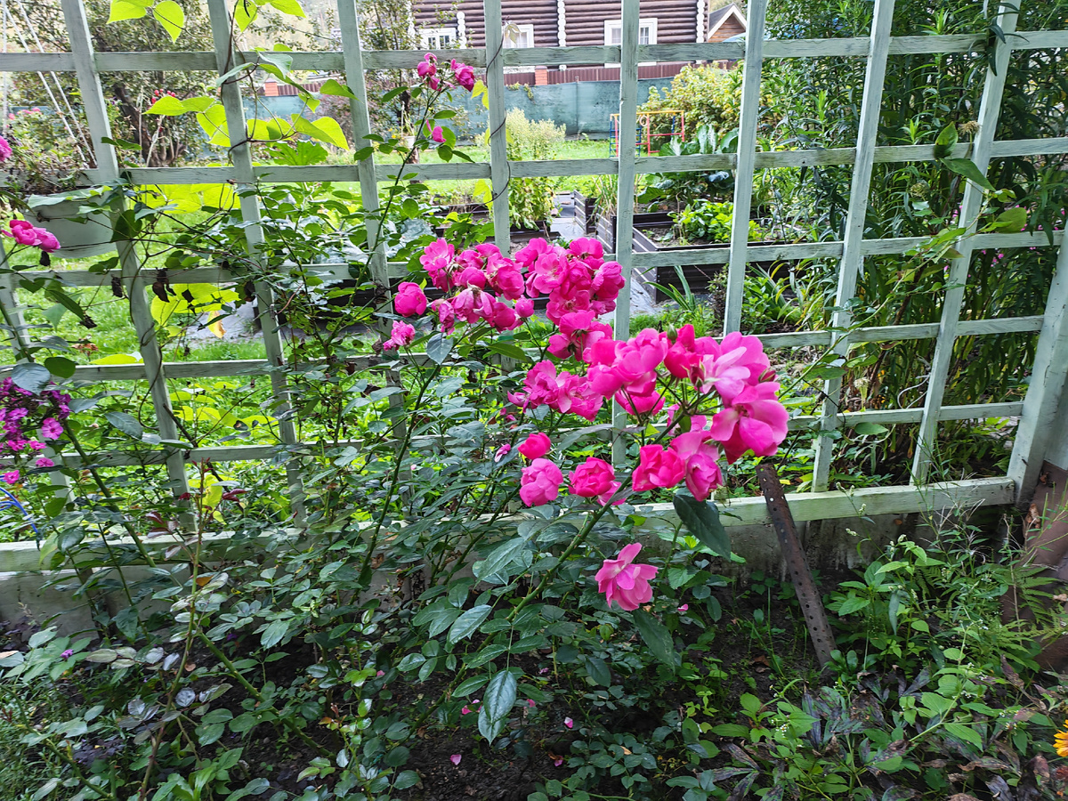 Одна из опор, сотворенная моим мужем. 